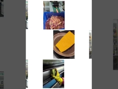 सेरेस स्पंज